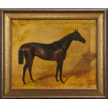 Alfred Wheeler (1852-1932) oil on canvas - A Bay Horse, 'Santoi', signed and inscribed, 43cm x 53cm,