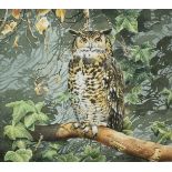 *Trevor Boyer (b. 1948) watercolour and bodycolour, Cape Eagle Owl, signed, 29 x 21cm, glazed frame