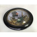 Pair of exotic birds within naturalistic settings in oval wall mounted glazed frames, each measuring
