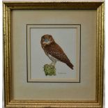 *Trevor Boyer (b. 1948) set of four watercolours of Owl, each signed, 14 x 12cm, glazed frames