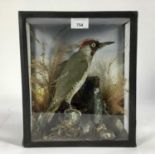 Green Woodpecker on perch within a naturalistic setting in glazed case, 30.5cm x 26cm