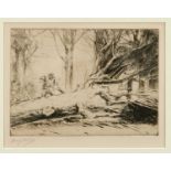 Harry Becker (1865-1928) signed etching - Fallen Tree, 21cm x 27cm, in glazed frame Provenance: Jo