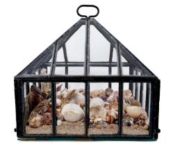 Antique iron garden cloche housing a collection of sea shells