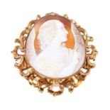 19th century carved shell cameo brooch