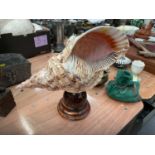 Large conch shell table lamp