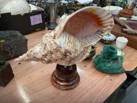 Large conch shell table lamp