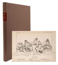 Henry W. Elliott - A Monograph of the Seal Islands of Alaska, 1882, folding maps and extensive line