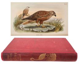 Shelley - A Handbook to the Birds of Egypt, 1st edition, 1872, 14 handcoloured plates