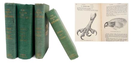 Arthur C. Stark and W. L. Sclater The Birds of South Africa, pub London: R. H. Porter, 1901, origina