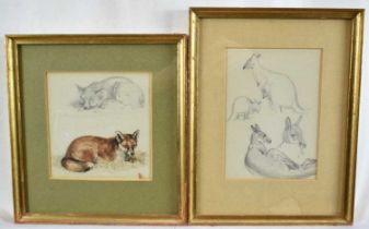 William Woodhouse (1857-1939) pencil and watercolour sketch, A Fox, 13.5cm x 12.5cm, together with a