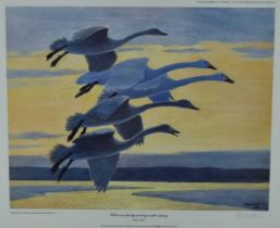 *Sir Peter Scott (1909-1989) signed limited edition print - Wild swan family