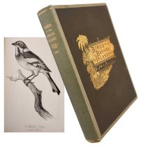 Charles B Cory - Birds of the Bahama Islands, first edition, Boston 1880, uncoloured plates, decorat