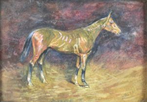 English School, early 20th century, watercolour - portrait of the French racehorse 'Durbar II', winn