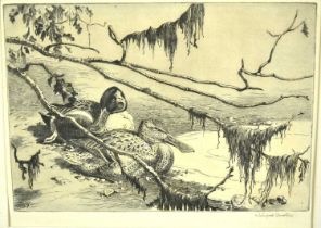 Winifred Austen (1876-1964) signed etching - Shoveler Ducks, 19cm x 26cm, in glazed frame