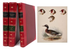 George Dawson Rowley (editor) - Ornithological miscellany, 1875-8