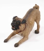 A well-modelled cold painted bronze model of a pug dog