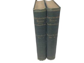 Baird, Brewer and Ridgway: The Water Birds of North America: Volumes I, II, Boston 1884, original to