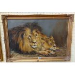 A large gilt framed oil on canvas study of a lion and lioness at rest