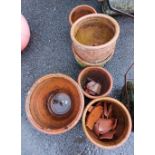 A selection of terracotta garden pots