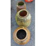 Three old terracotta rhubarb forcers - no lids - various condition