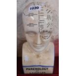 A late 20th Century ceramic phrenology head