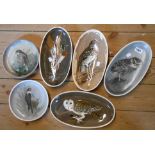 Four Stuart Bass (Exmoor) pottery oval dishes, each decorated in sgraffito and slip with a bird
