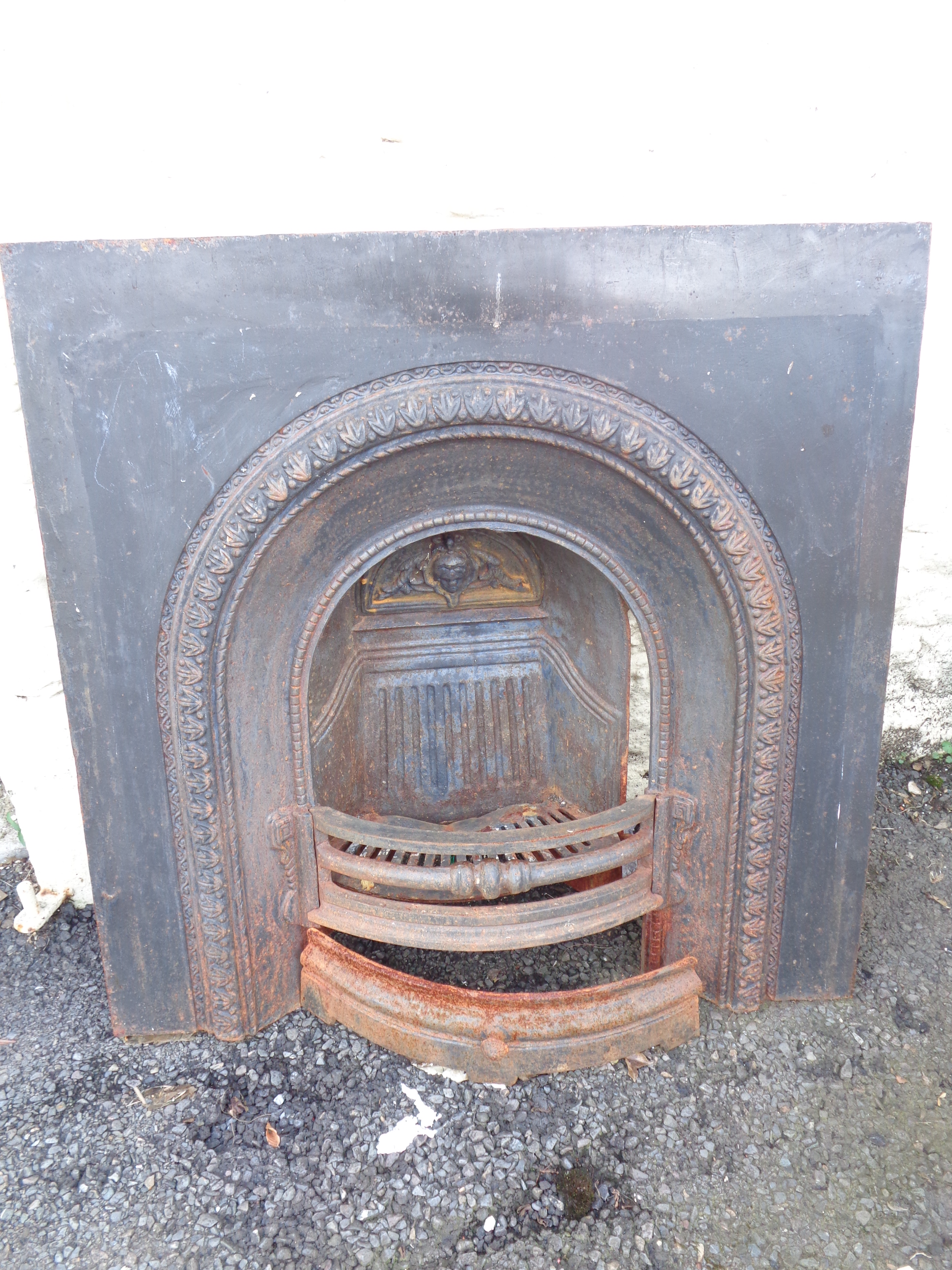 A Victorian cast iron fire insert with decorative floral border and central basket