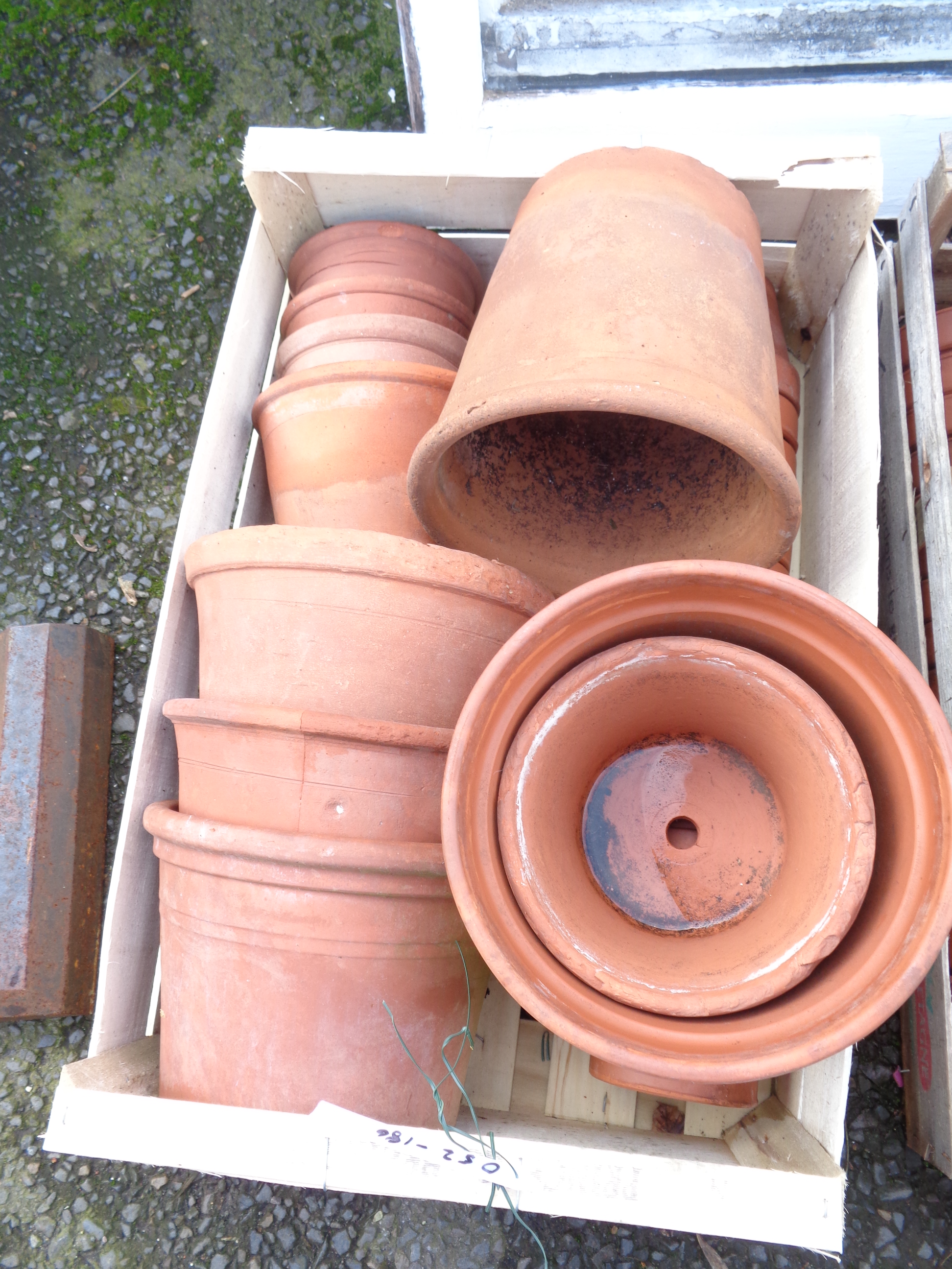 A crate containing a quantity of terracotta pots