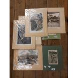 A quantity of unframed mounted coloured prints including cricket interest, named views, etc.