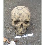 A small cast concrete garden ornament in the form of a human skull