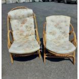 Two pairs of Angrave's Invincible bound cane conservatory chairs with upholstery swabs