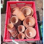A crate containing a quantity of small terracotta pots