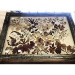 A framed and glazed dried flower display