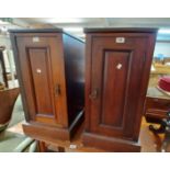 A pair of Edwardian walnut bedside pot cupboards with panelled doors and plinth bases