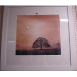 Jason Liosatos: a painted framed watercolour entitled 'Lone Tree at Dusk' - signed