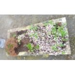 A shallow oblong concrete planter - 85cm X 40cm