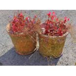 A pair of old terracotta garden pots with moulded trellis decoration - planted with flowers