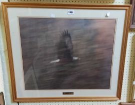 A gilt framed signed coloured print entitled 'Sheer Velocity', depicting a blurred image of an eagle