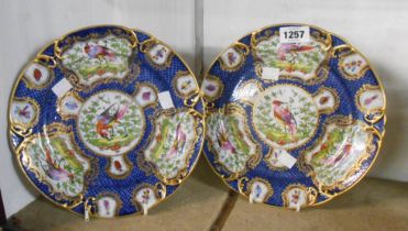 A pair of late 19th Century porcelain plates each decorated with hand painted panels depicting