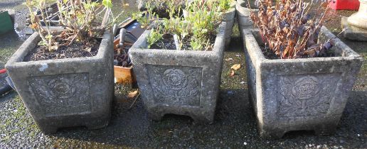 Three concrete planters, each planted with shrubs