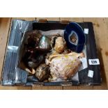 A box containing shells, a geode, fossils and hardstone items