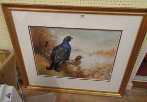 †Alan Hayman: a gilt framed acrylic study of a black grouse and other birds in a naturalistic
