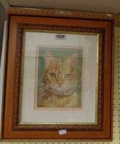 K.N. Neely: a framed acrylic study of a cat - signed and dated 1992