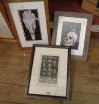 Three assorted framed prints, all depicting skulls