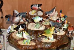 A COLLECTION OF BESWICK BIRD FIGURES AND TWO DISPLAY STANDS, comprising Jay no 2417 (beak