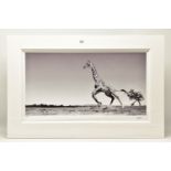 ANUP SHAH (KENYA CONTEMPORARY) 'DANCE', a signed limited edition photographic print depicting a