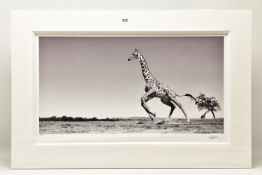 ANUP SHAH (KENYA CONTEMPORARY) 'DANCE', a signed limited edition photographic print depicting a