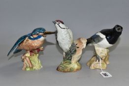 THREE BESWICK BIRD FIGURES, comprising Kingfisher model no 2371, height 12cm, Lesser Spotted