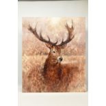 GARY BENFIELD (BRITISH CONTEMPORARY) 'NOBLE' a signed limited edition print of a stag, 12/195,
