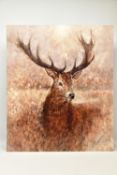 GARY BENFIELD (BRITISH CONTEMPORARY) 'NOBLE' a signed limited edition print of a stag, 13/195,